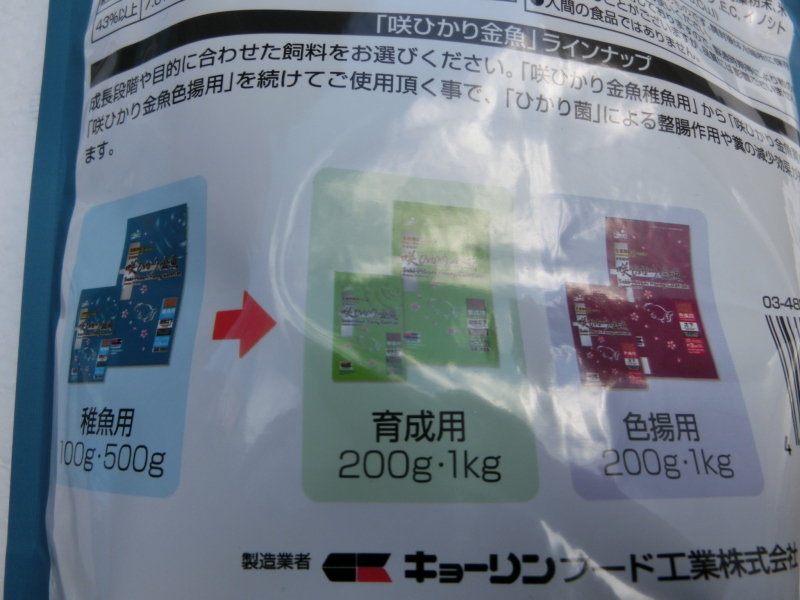 【らんちゅうらんちゅう飼育用品】期間限定取り扱い咲きひかり金魚　再入荷　稚魚用　500g