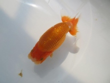 9月22日撮影　790番