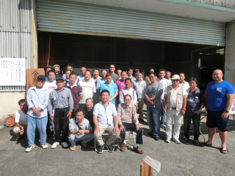 【らんちゅう当歳魚】三重支部大会・三重らんちゅう会