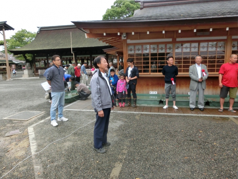 【らんちゅう当歳魚】稲沢錦鱗会　