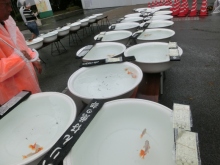 文化連合会