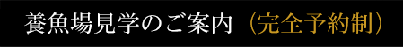 養魚場見学のご案内（完全予約制）